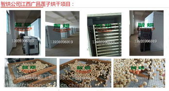 空氣能熱泵蓮子干燥機 智烘護航，解鎖蓮子與茶葉高品質(zhì)干燥新境界